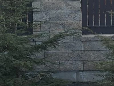 IMG-20250304-WA0007